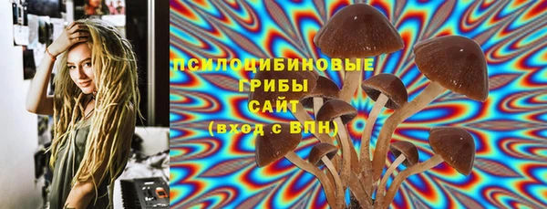 spice Алзамай