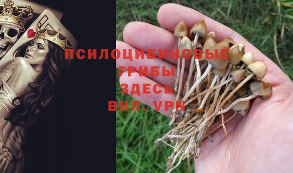 spice Алзамай