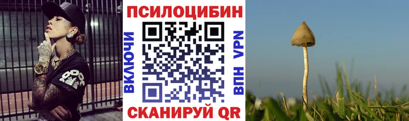 Псилоцибиновые грибы Psilocybine cubensis  Томари 